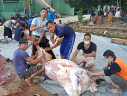 Rayakan Idul Adha 1445 H, RS AR Bunda Prabumulih tebar 1200 Paket Qurban