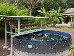 Atasi Limbah Budidaya Ikan, Kilang Pertamina Plaju Hadirkan Inovasi IMTA untuk Masyarakat Pesisir Musi